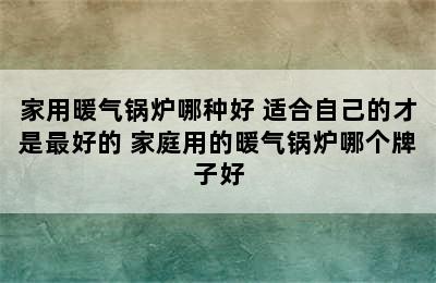 家用暖气锅炉哪种好 适合自己的才是最好的 家庭用的暖气锅炉哪个牌子好